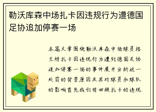 勒沃库森中场扎卡因违规行为遭德国足协追加停赛一场